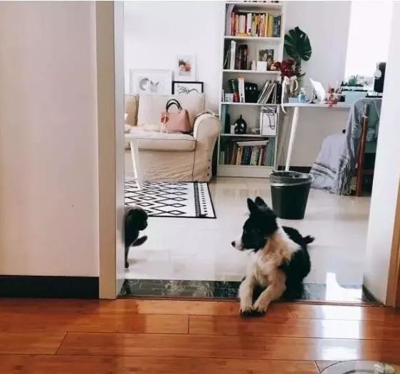 兰州石材 兰州石材