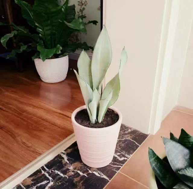 兰州石材 兰州石材