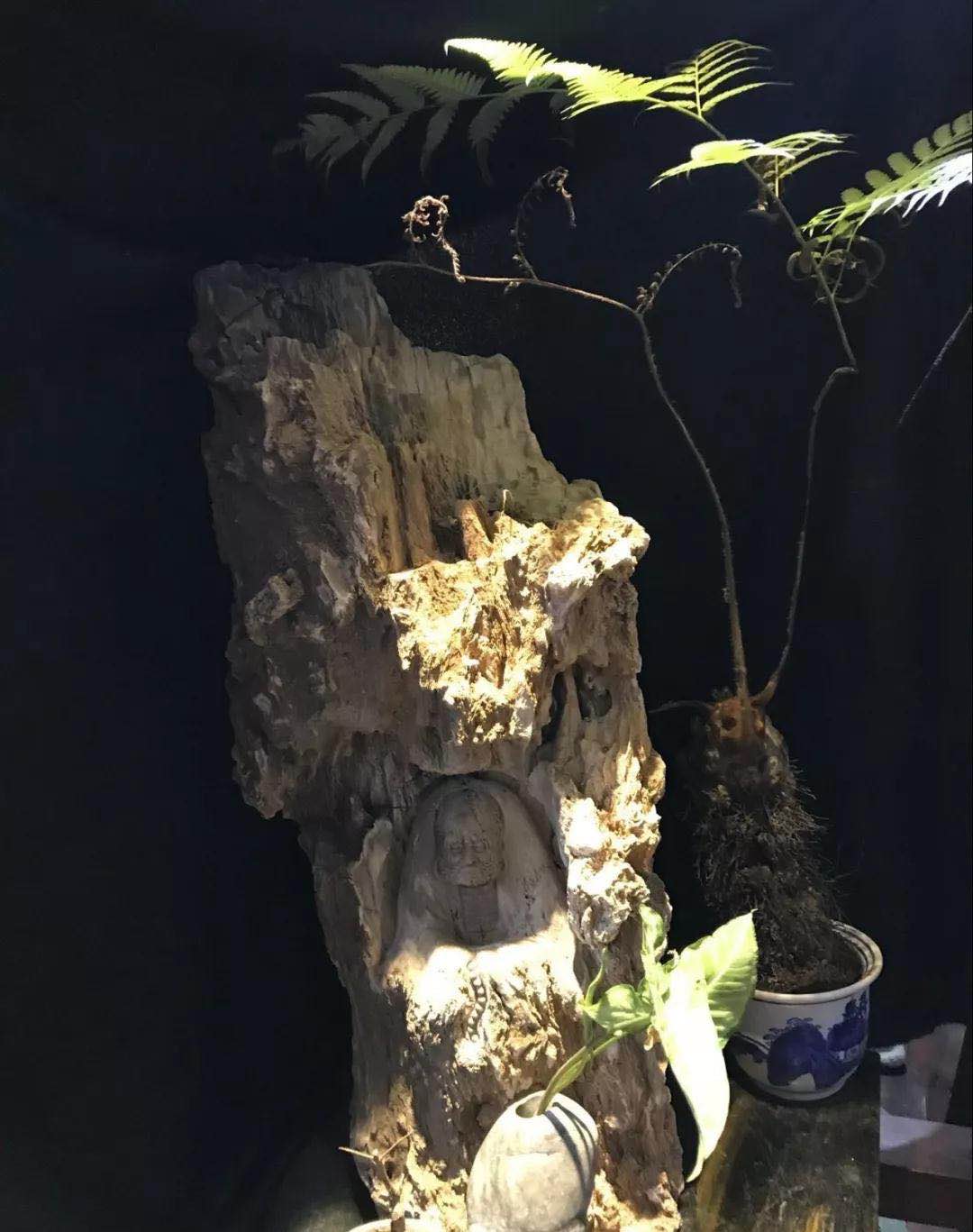 1591143319778064.jpg 微信图片_20200603081611.jpg